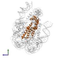 Histone H4 in PDB entry 7d1z, assembly 1, side view.