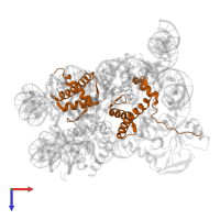 Histone H4 in PDB entry 7d1z, assembly 1, top view.