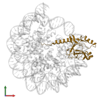 N-lysine methyltransferase KMT5A in PDB entry 7d1z, assembly 1, front view.