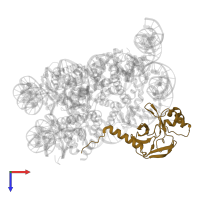 N-lysine methyltransferase KMT5A in PDB entry 7d1z, assembly 1, top view.
