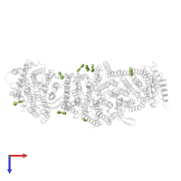 DODECYL-BETA-D-MALTOSIDE in PDB entry 7d3u, assembly 1, top view.