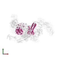 Translation initiation factor eIF-2B subunit delta in PDB entry 7d43, assembly 1, front view.