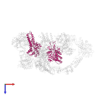 Translation initiation factor eIF-2B subunit delta in PDB entry 7d43, assembly 1, top view.