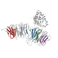 The deposited structure of PDB entry 7d4i contains 5 copies of Pfam domain PF00400 (WD domain, G-beta repeat) in Periodic tryptophan protein 2. Showing 5 copies in chain JA [auth B1].