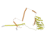 The deposited structure of PDB entry 7d4i contains 2 copies of Pfam domain PF04147 (Nop14-like family ) in Nucleolar complex protein 14. Showing 2 copies in chain GB [auth RN].