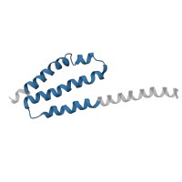 The deposited structure of PDB entry 7d4i contains 1 copy of Pfam domain PF04000 (Sas10/Utp3/C1D family) in Exosome complex protein LRP1. Showing 1 copy in chain BC [auth R7].