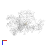 Small ribosomal subunit protein uS17A in PDB entry 7d4i, assembly 1, top view.