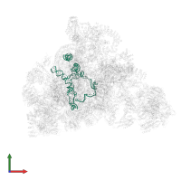 U3 snoRNA in PDB entry 7d4i, assembly 1, front view.