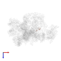 Small ribosomal subunit protein eS27A in PDB entry 7d4i, assembly 1, top view.