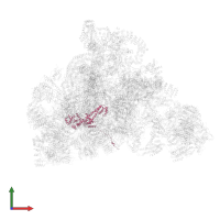 Nucleolar protein 58 in PDB entry 7d4i, assembly 1, front view.