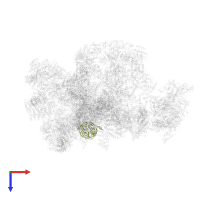 Ribosomal RNA-processing protein 9 in PDB entry 7d4i, assembly 1, top view.