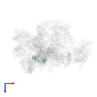 13 kDa ribonucleoprotein-associated protein in PDB entry 7d4i, assembly 1, top view.