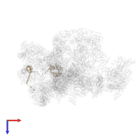 U3 small nucleolar RNA-associated protein 5 in PDB entry 7d4i, assembly 1, top view.