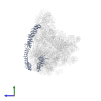 U3 small nucleolar RNA-associated protein 10 in PDB entry 7d4i, assembly 1, side view.