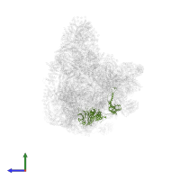 U3 small nucleolar RNA-associated protein 21 in PDB entry 7d4i, assembly 1, side view.