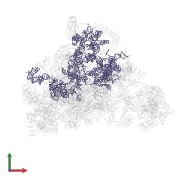 18S Ribosomal RNA in PDB entry 7d4i, assembly 1, front view.