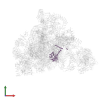 U3 small nucleolar RNA-associated protein 7 in PDB entry 7d4i, assembly 1, front view.