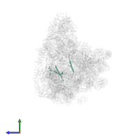 U3 small nucleolar RNA-associated protein 11 in PDB entry 7d4i, assembly 1, side view.