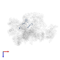 U3 small nucleolar RNA-associated protein MPP10 in PDB entry 7d4i, assembly 1, top view.