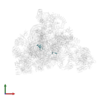 rRNA-processing protein FCF2 in PDB entry 7d4i, assembly 1, front view.