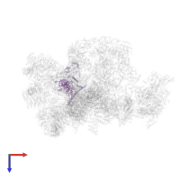 Ribosome biogenesis protein BMS1 in PDB entry 7d4i, assembly 1, top view.