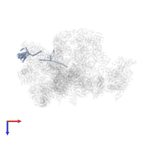 Nucleolar complex protein 14 in PDB entry 7d4i, assembly 1, top view.