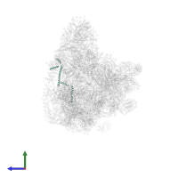 Regulator of rDNA transcription protein 14 in PDB entry 7d4i, assembly 1, side view.