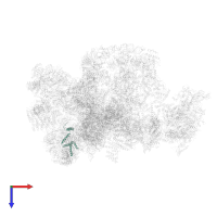 Regulator of rDNA transcription protein 14 in PDB entry 7d4i, assembly 1, top view.