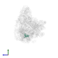 Exosome complex component SKI6 in PDB entry 7d4i, assembly 1, side view.