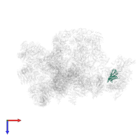 Exosome complex component SKI6 in PDB entry 7d4i, assembly 1, top view.