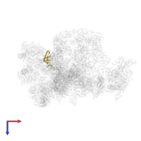 Small ribosomal subunit protein uS7 in PDB entry 7d4i, assembly 1, top view.