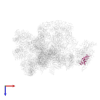 Exosome complex component RRP42 in PDB entry 7d4i, assembly 1, top view.