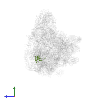 Exosome complex component MTR3 in PDB entry 7d4i, assembly 1, side view.