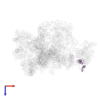 Exosome complex component CSL4 in PDB entry 7d4i, assembly 1, top view.