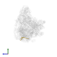 Exosome complex protein LRP1 in PDB entry 7d4i, assembly 1, side view.