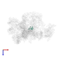 Small ribosomal subunit protein eS8A in PDB entry 7d4i, assembly 1, top view.