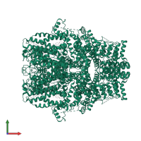 Short transient receptor potential channel 5 in PDB entry 7d4q, assembly 1, front view.