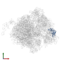 Small ribosomal subunit protein uS3 in PDB entry 7d80, assembly 1, front view.