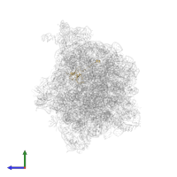 Small ribosomal subunit protein uS12 in PDB entry 7d80, assembly 1, side view.