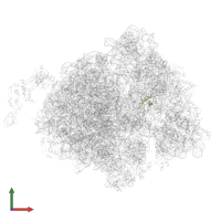 Small ribosomal subunit protein bS18 in PDB entry 7d80, assembly 1, front view.