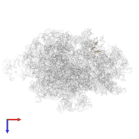 Small ribosomal subunit protein bS21 in PDB entry 7d80, assembly 1, top view.