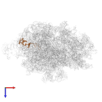 Large ribosomal subunit protein uL4 in PDB entry 7d80, assembly 1, top view.