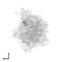 Large ribosomal subunit protein uL14 in PDB entry 7d80, assembly 1, side view.