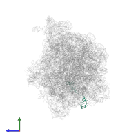 Large ribosomal subunit protein uL15 in PDB entry 7d80, assembly 1, side view.