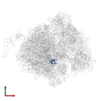 Large ribosomal subunit protein uL16 in PDB entry 7d80, assembly 1, front view.