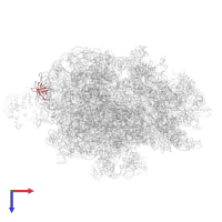 Large ribosomal subunit protein uL24 in PDB entry 7d80, assembly 1, top view.