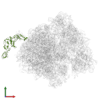 Trigger factor in PDB entry 7d80, assembly 1, front view.