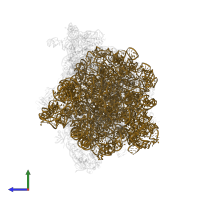 23S ribosomal RNA in PDB entry 7d80, assembly 1, side view.