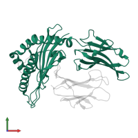 Ig-like domain-containing protein in PDB entry 7dc6, assembly 2, front view.