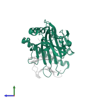 Ig-like domain-containing protein in PDB entry 7dc6, assembly 2, side view.